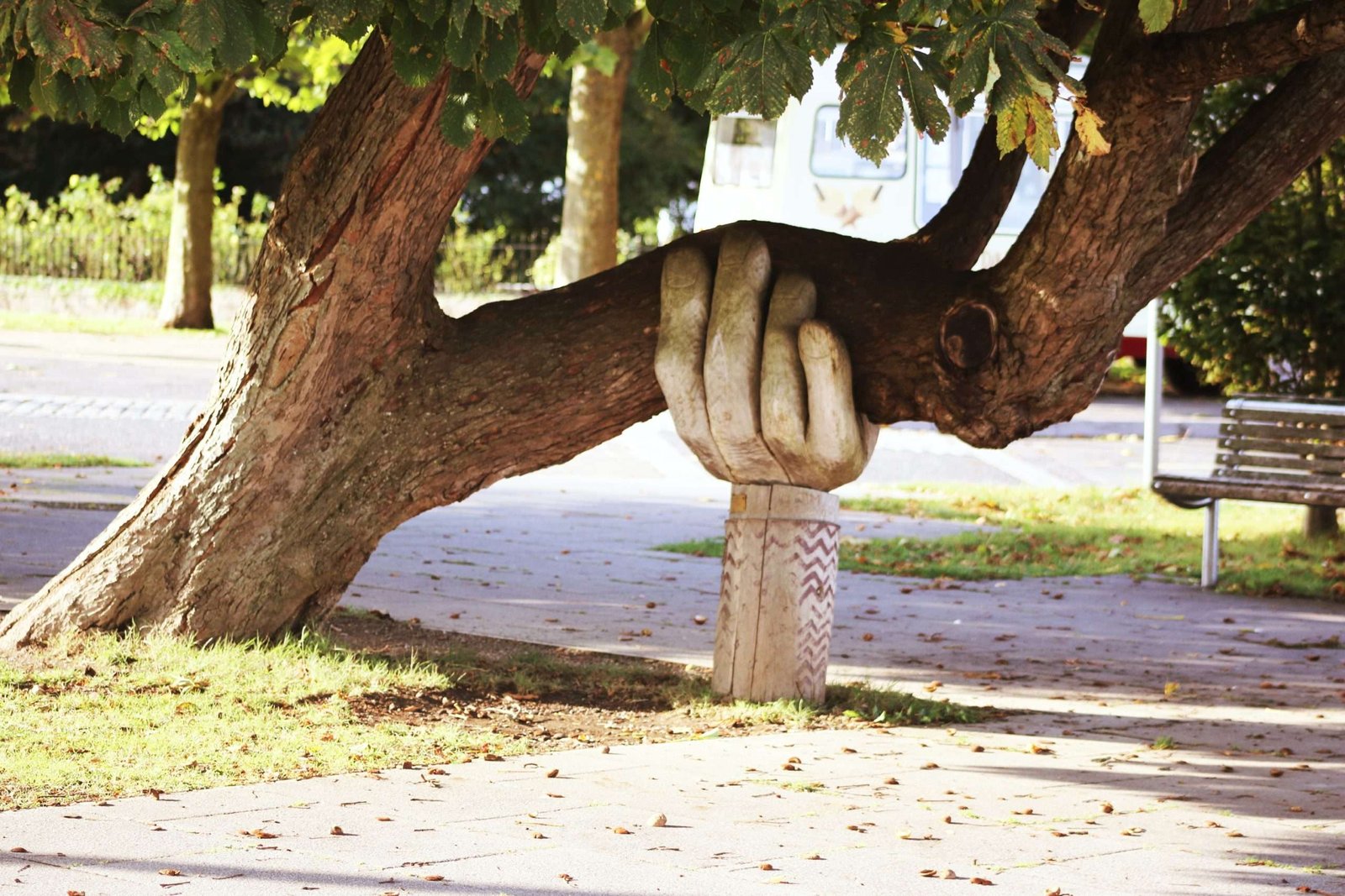 Mão de madeira segurando o galho de uma árvore para que não caia