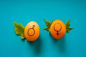 Dois ovos amarelos, em um fundo azul. Um ovo tem o símbolo grego da masculinidade, e o outro da feminilidade