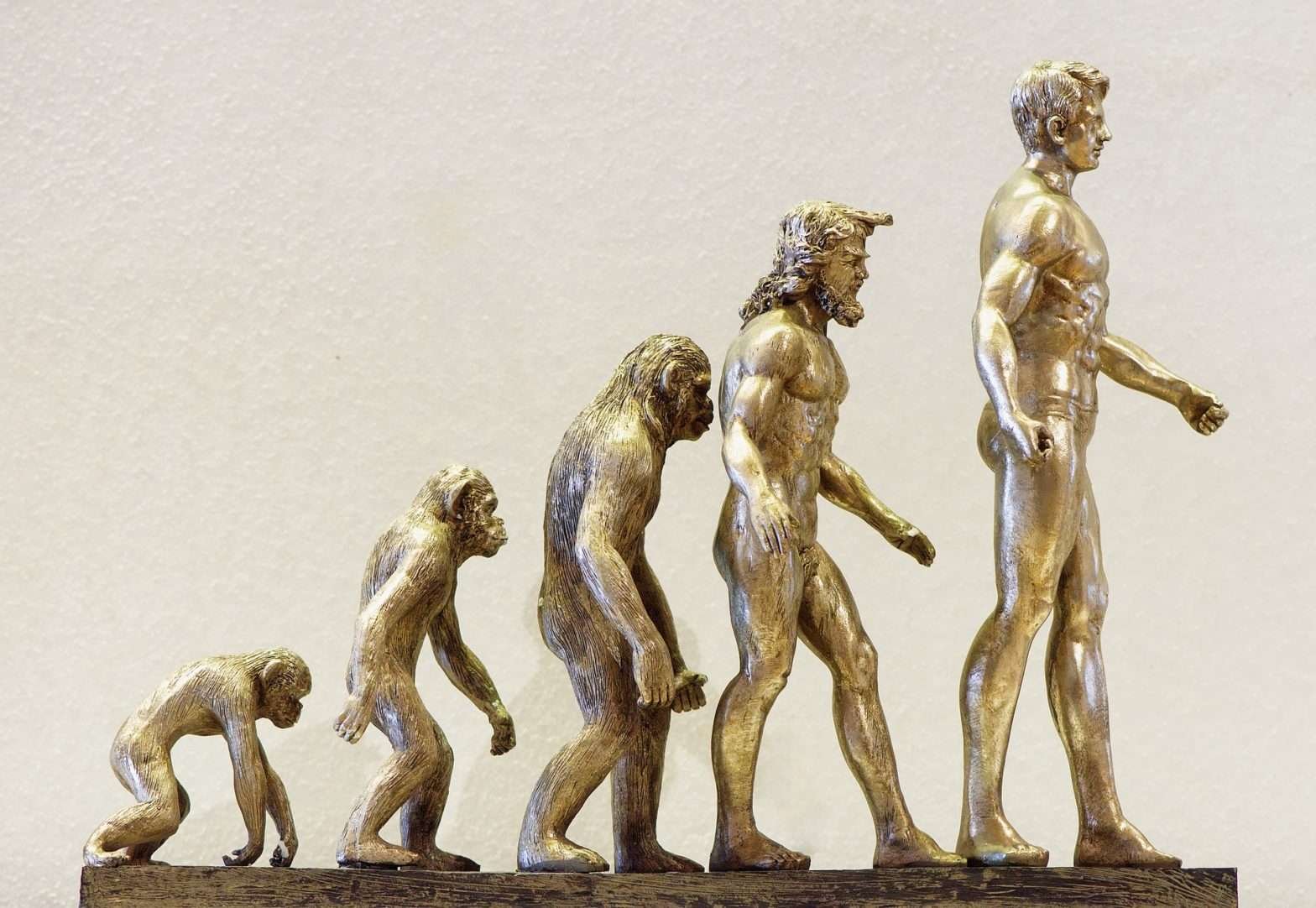 Estátuas de bronze mostrando a evolução do ser humano