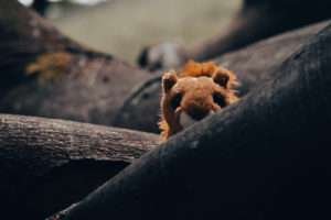 Leão de pelúcia espiando por trás de um tronco de árvore