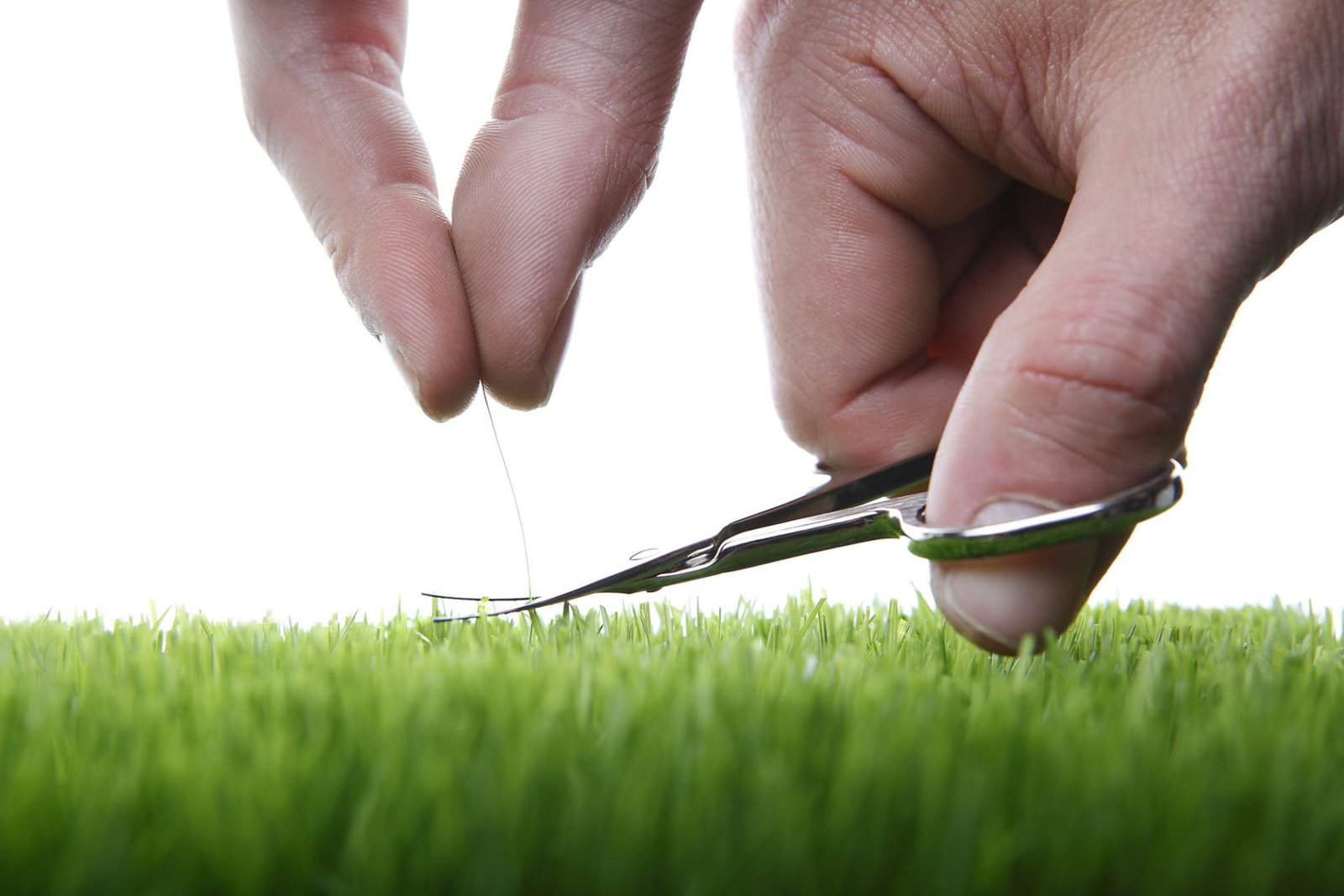 Um fio de cabelo sendo cortando rente a altura de um gramado